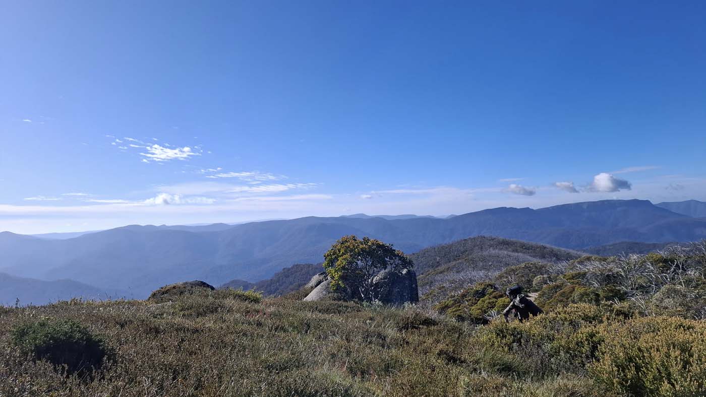 Delatite river trail (8)