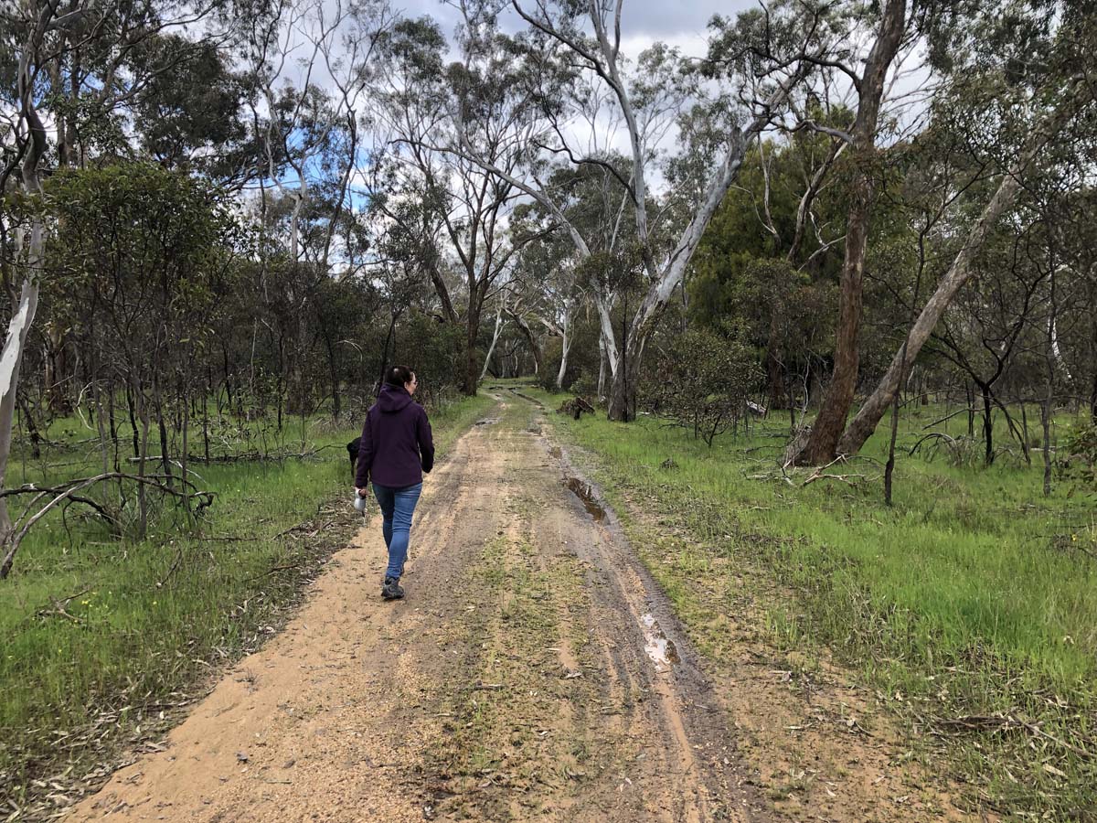 Devil's garden circuit walk 1