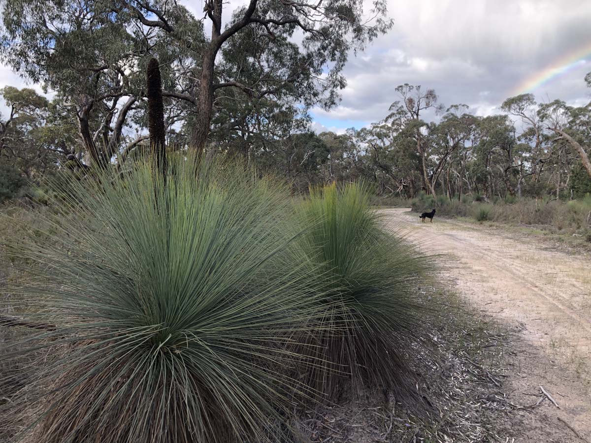 Devil's garden circuit walk 2