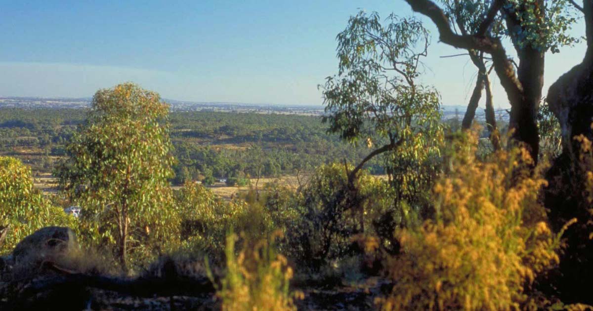 Devils cave circuit walk 2
