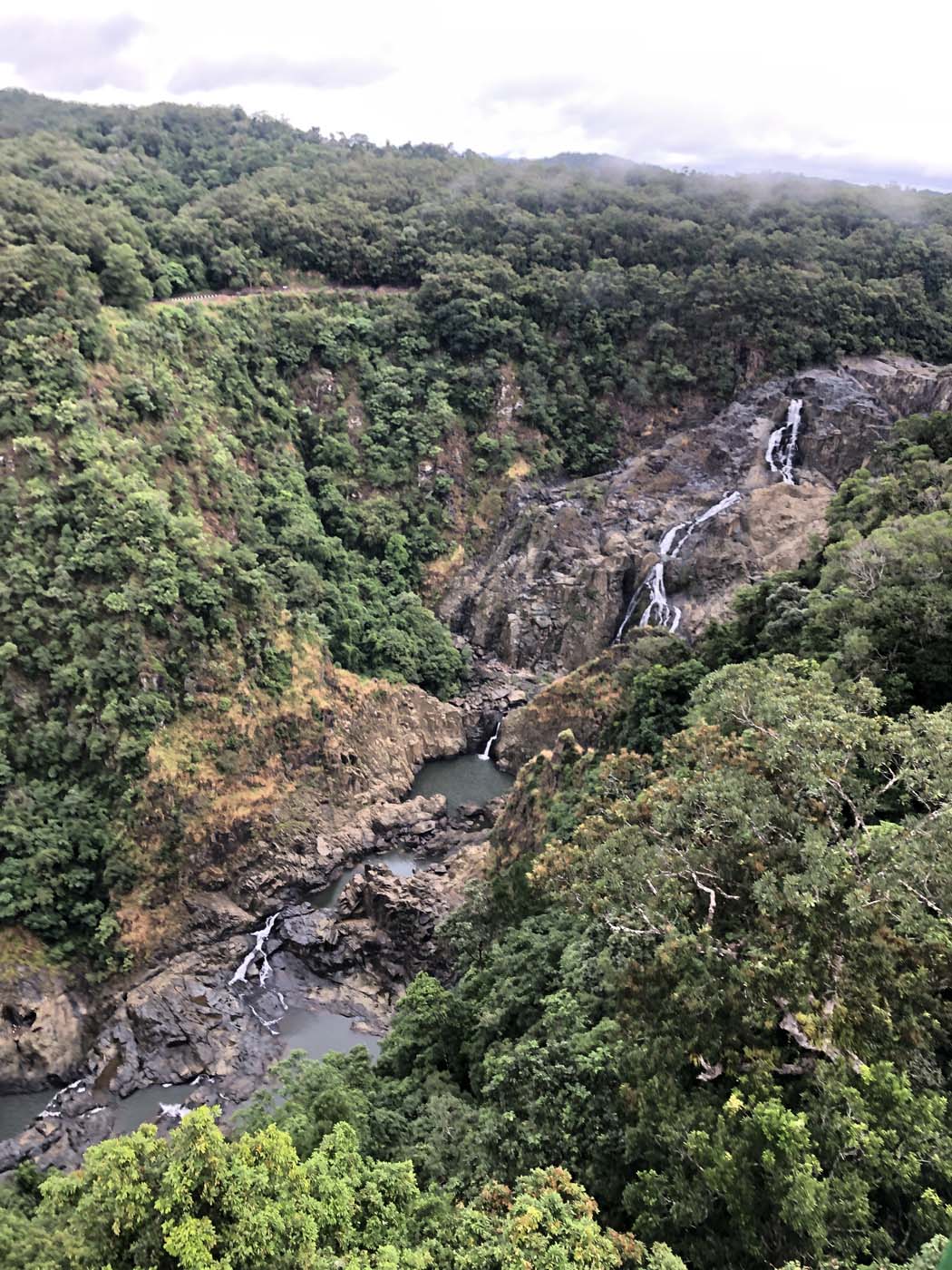 Barron falls lookout track (1)