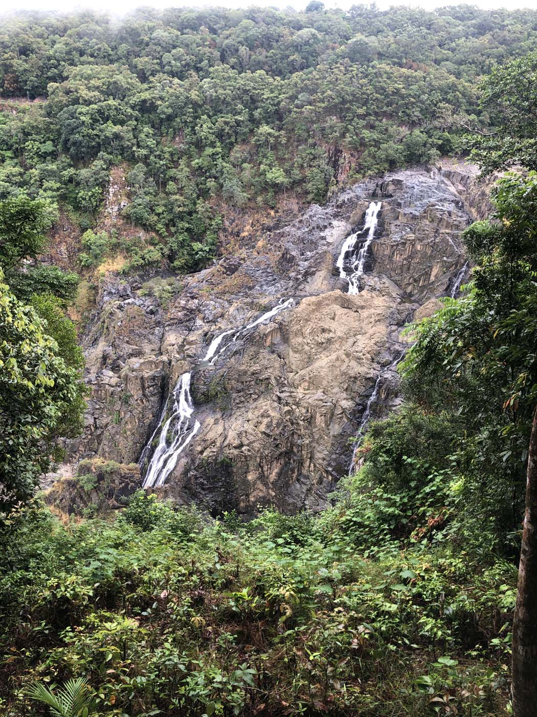 Barron falls lookout track (2)