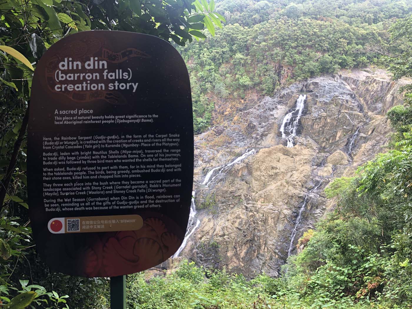 Barron falls lookout track (3)