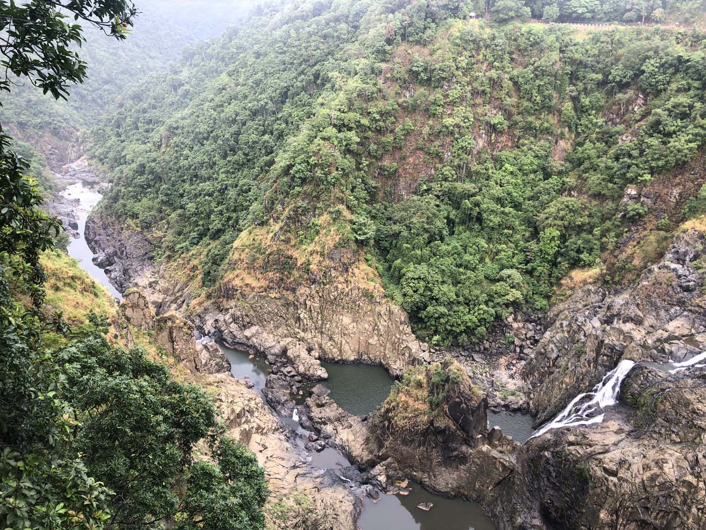 Barron falls lookout track (4)
