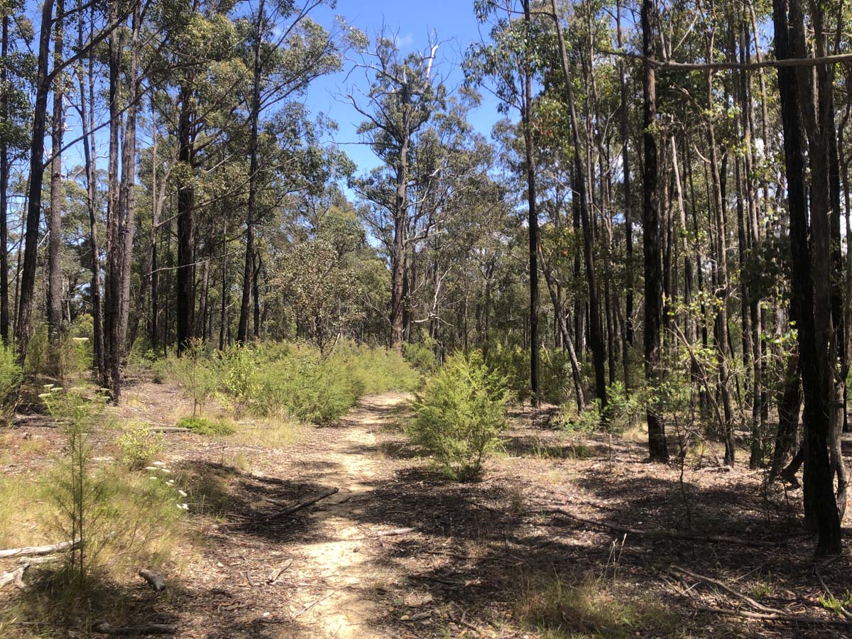 Discovery trail & clayhill track circuit hike 2