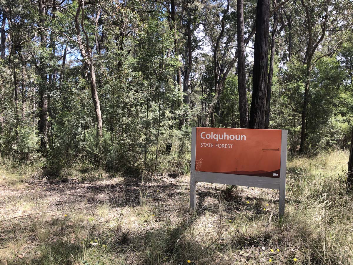 Discovery trail & clayhill track circuit hike 4