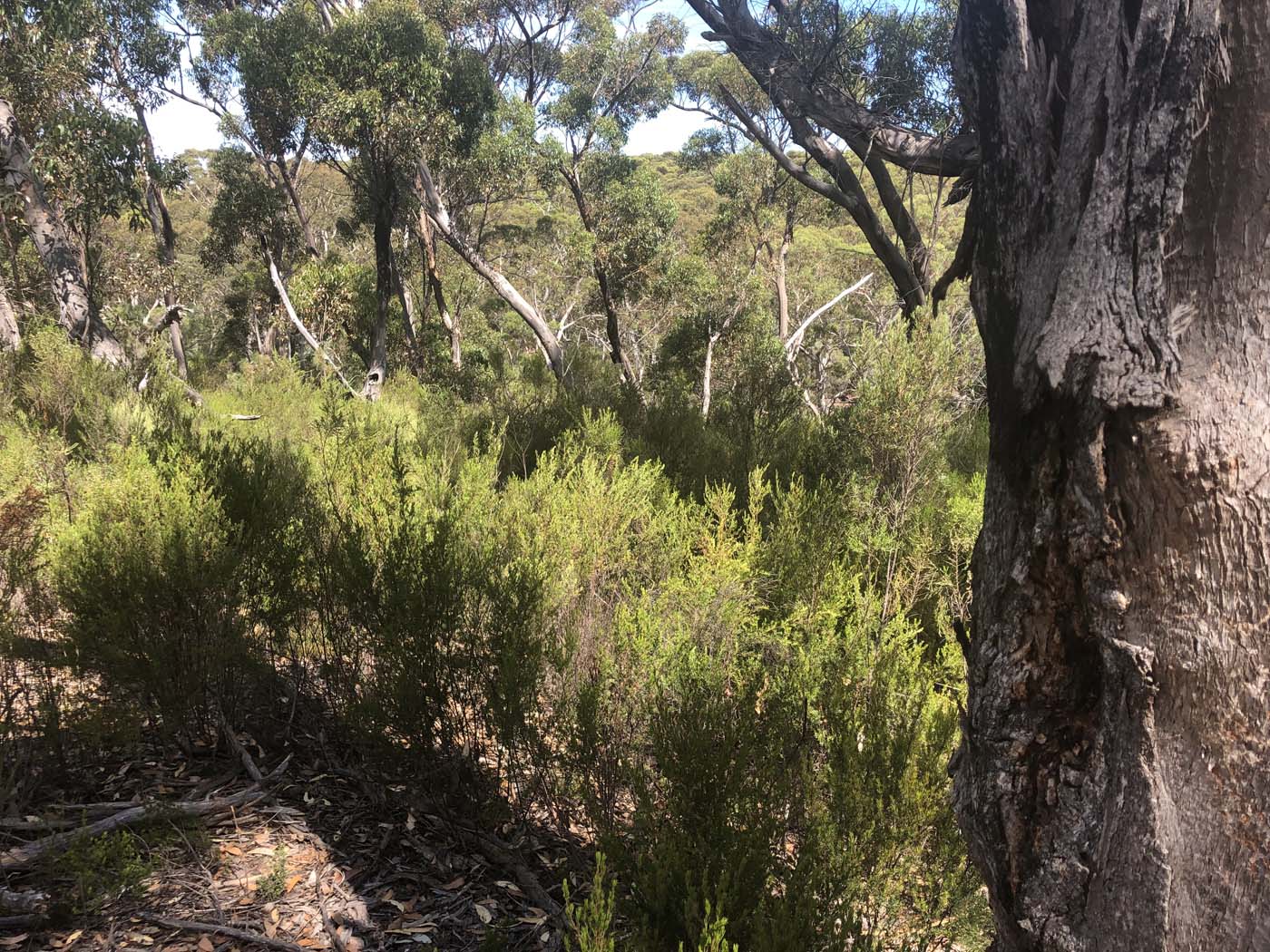 Discovery walk (1)
