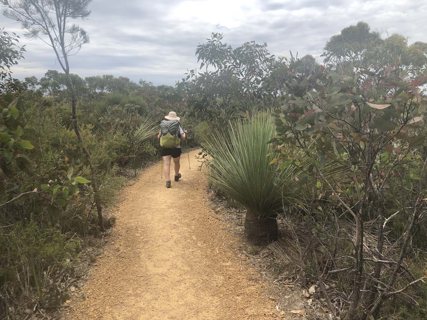 Discovery walk (5)
