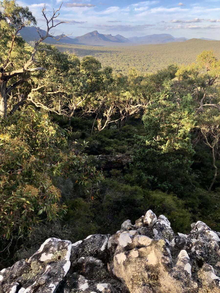 Djardji djawara & mud dadjug hike 35