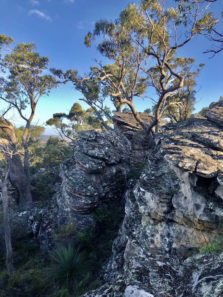 Djardji djawara & mud dadjug hike 37