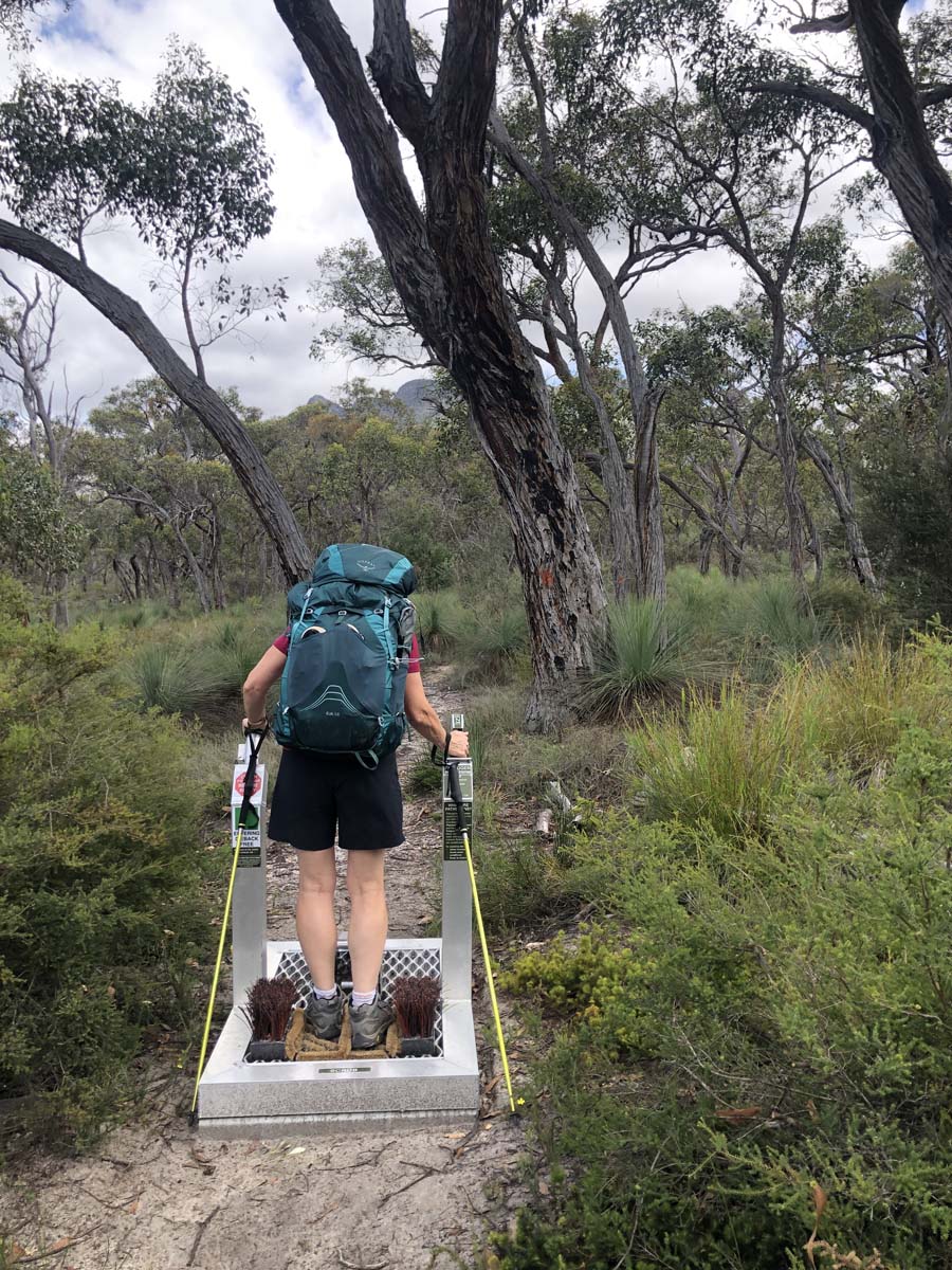 Djardji djawara & mud dadjug hike 4