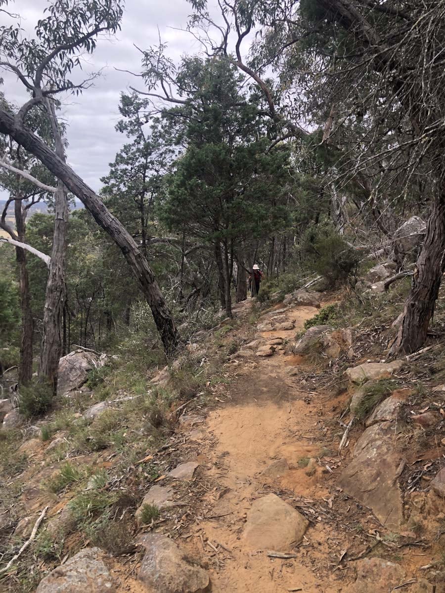 Djardji djawara & mud dadjug hike 75