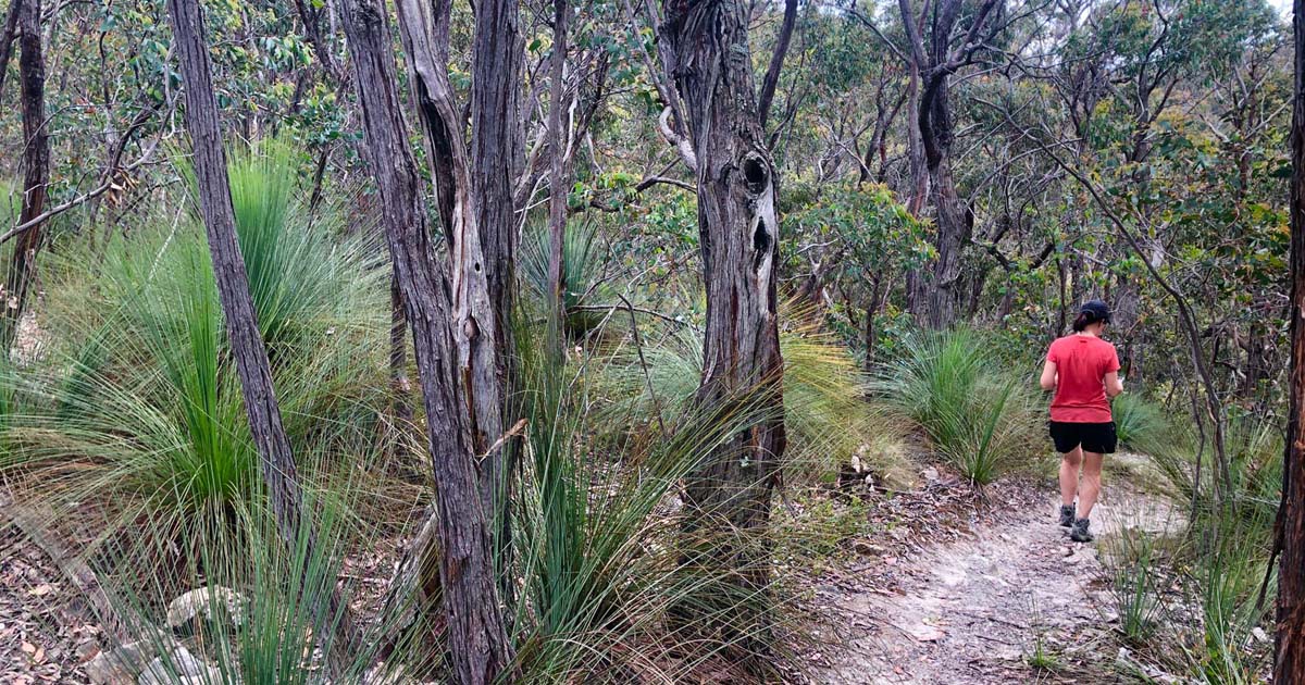 Djerriwarrh creek circuit hike 1