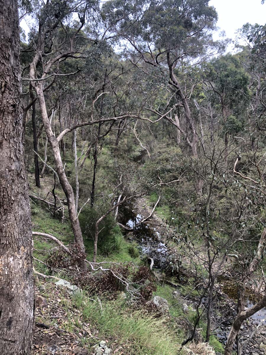 Djerriwarrh creek circuit hike 12