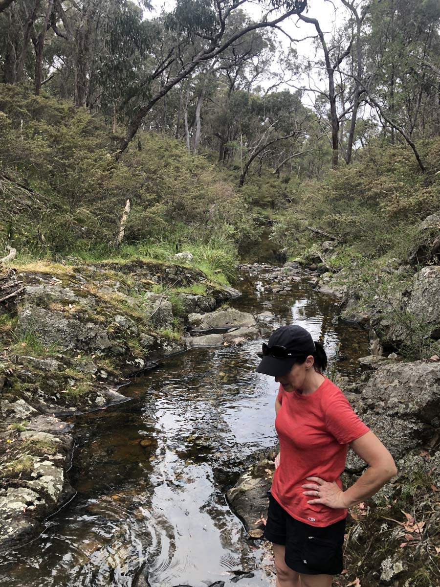 Djerriwarrh creek circuit hike 14
