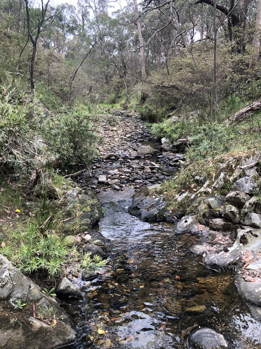 Djerriwarrh creek circuit hike 15