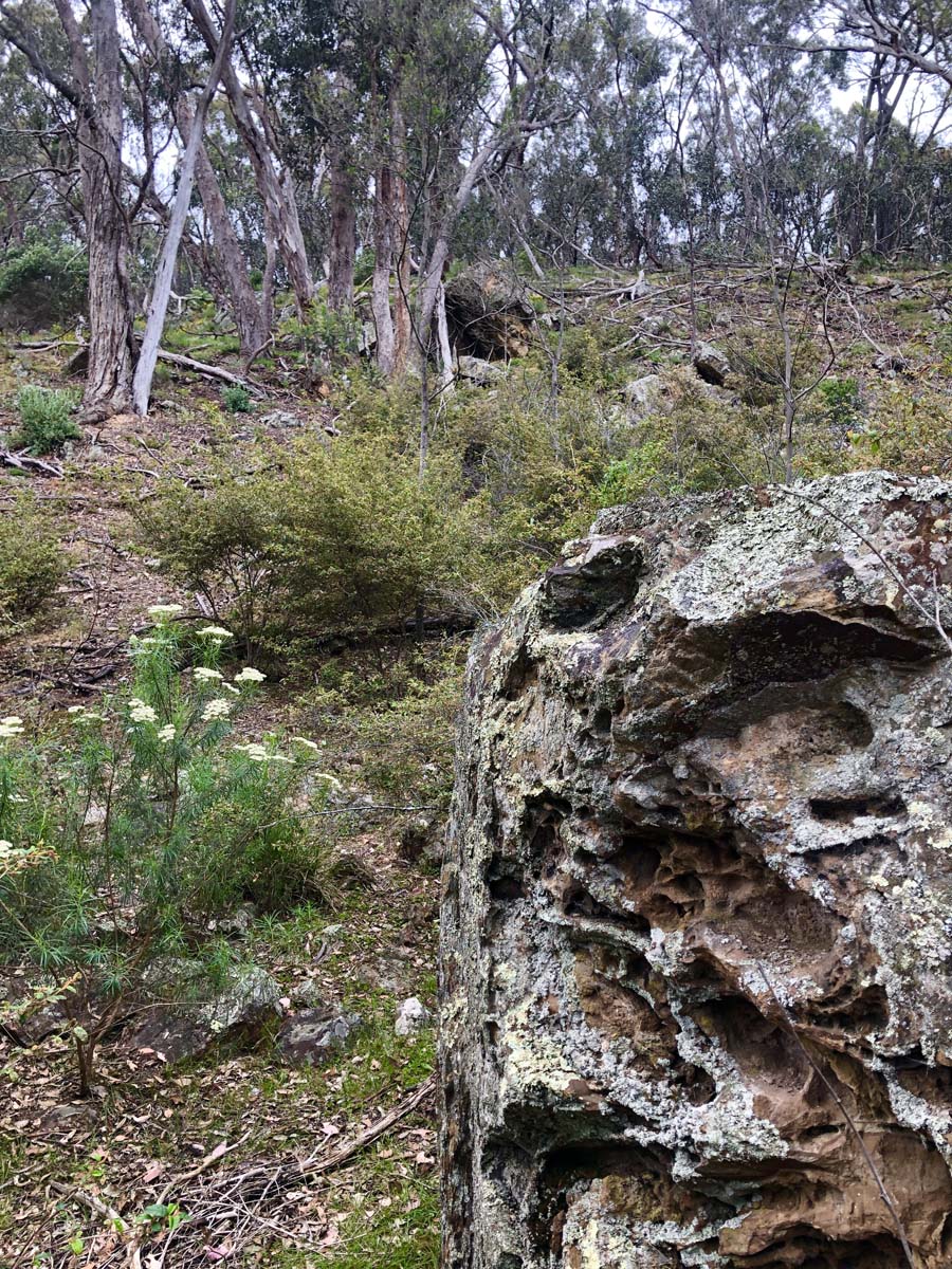 Djerriwarrh creek circuit hike 16