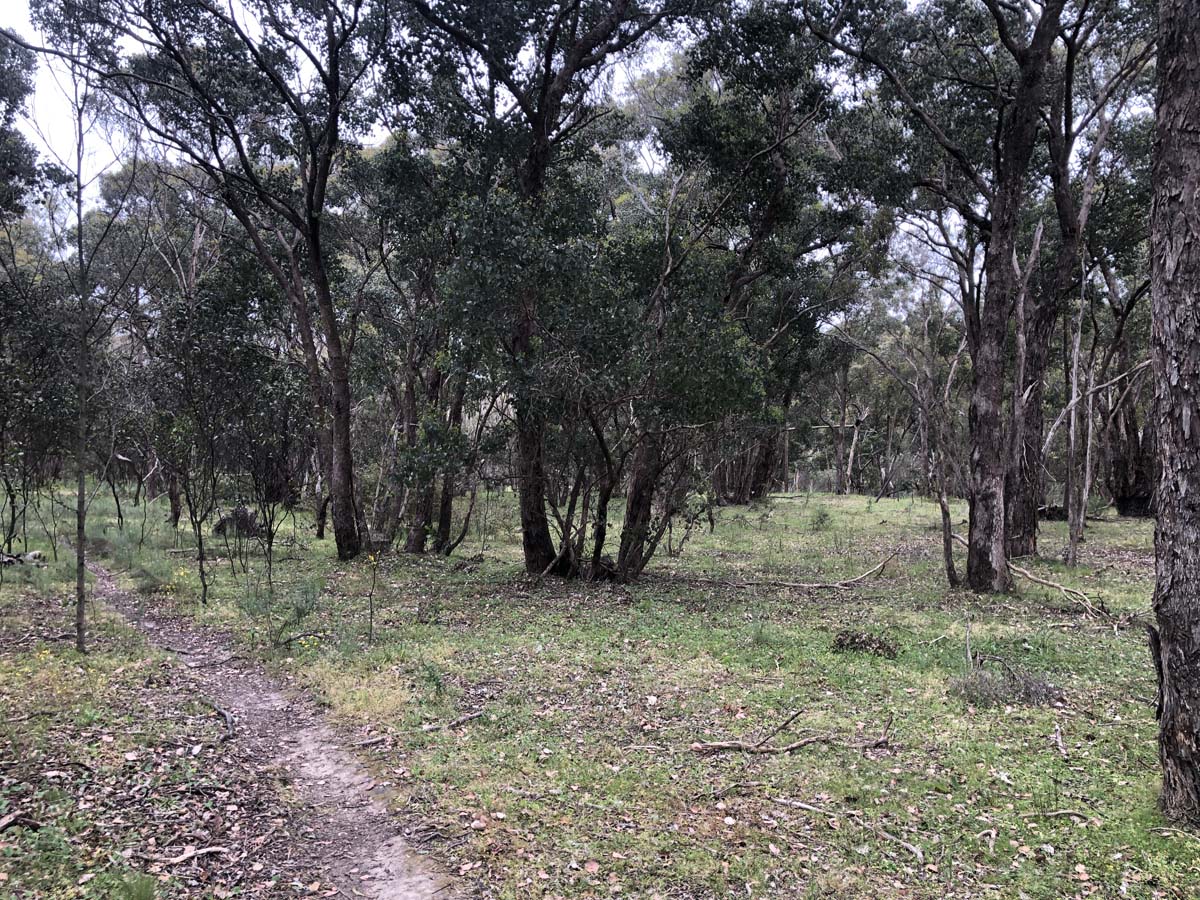 Djerriwarrh creek circuit hike 17