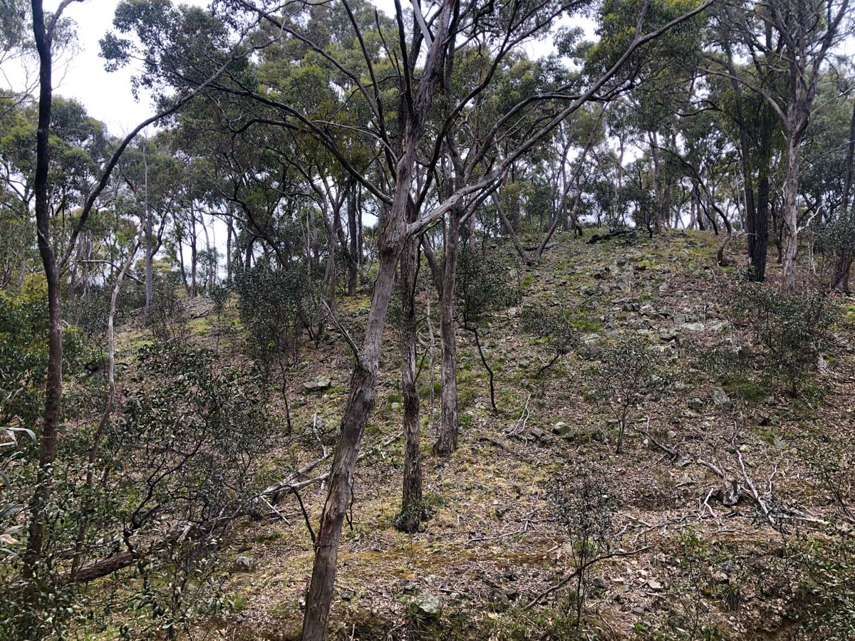 Djerriwarrh creek circuit hike 18