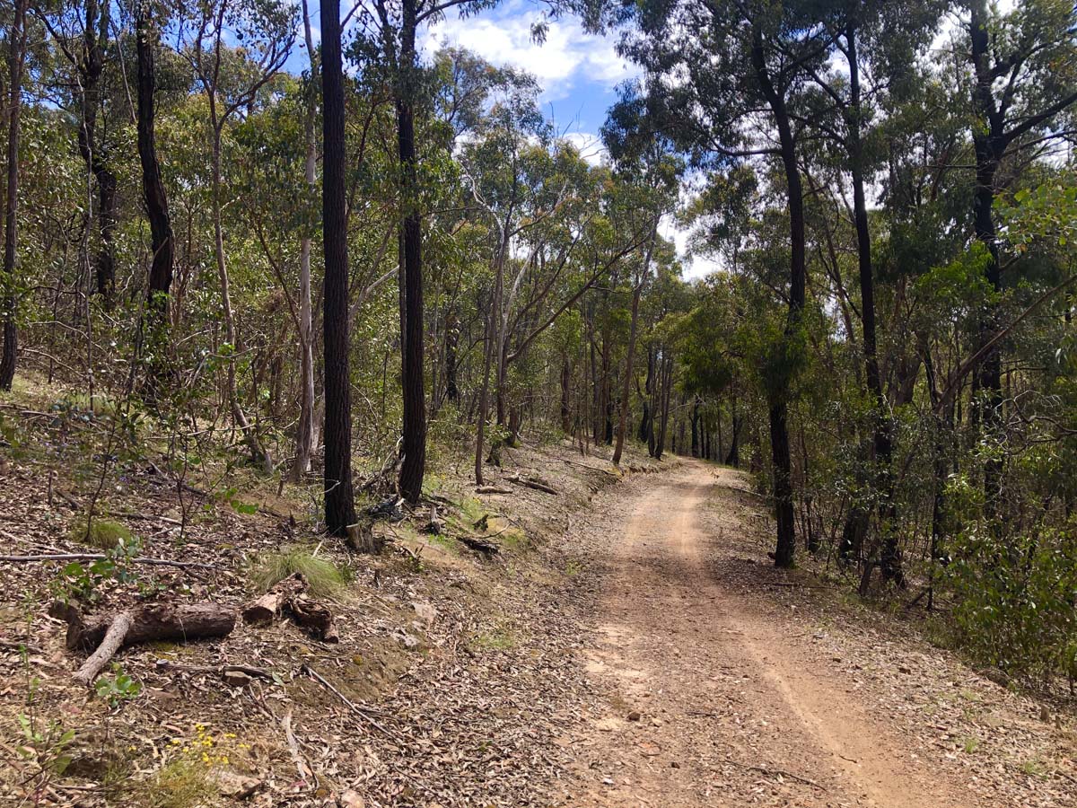Djerriwarrh creek circuit hike 2