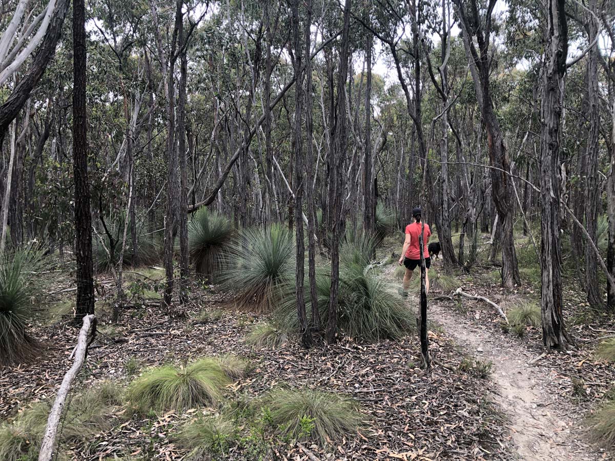 Djerriwarrh creek circuit hike 21
