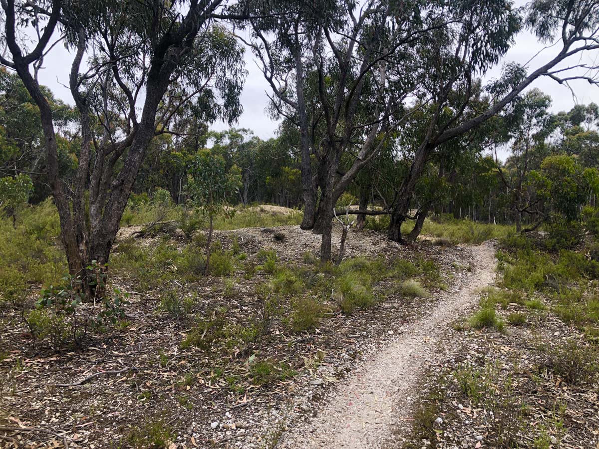 Djerriwarrh creek circuit hike 22