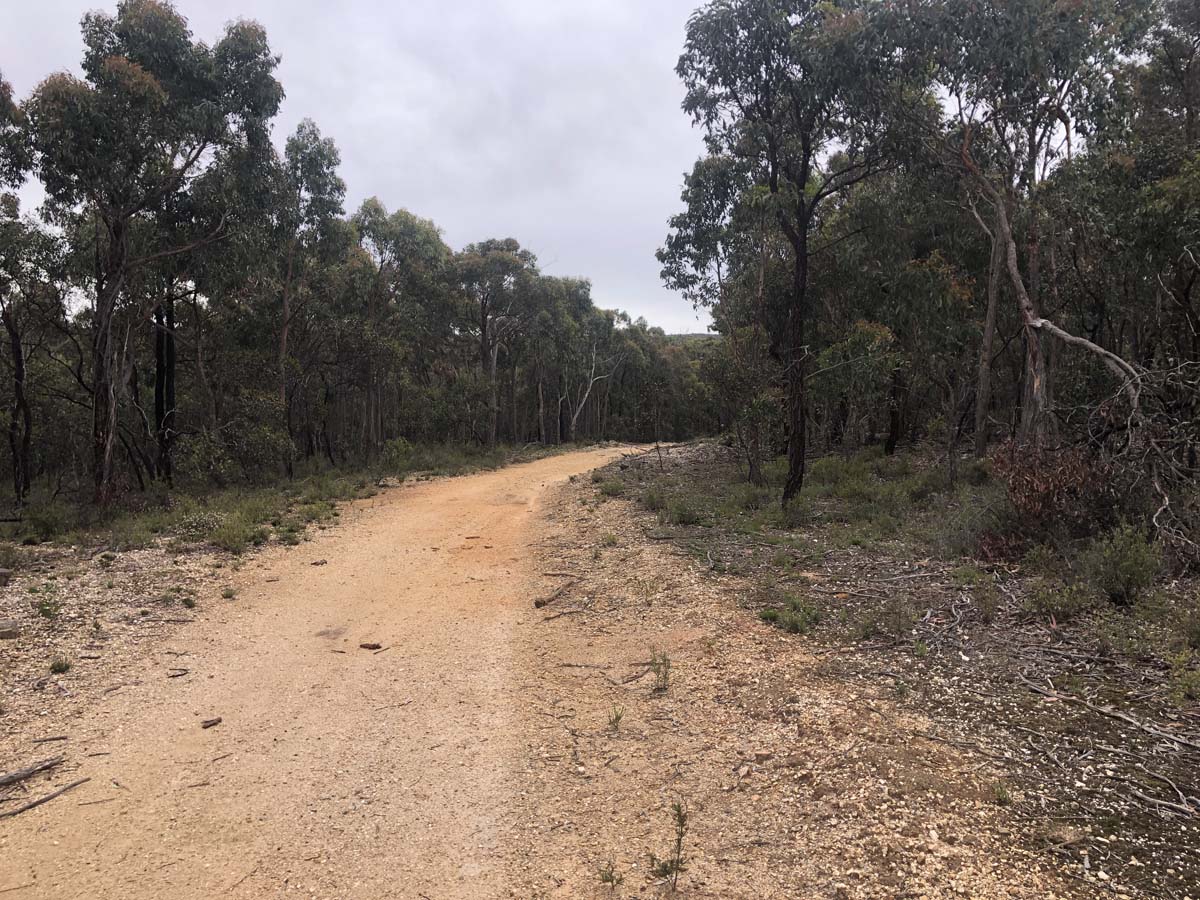 Djerriwarrh creek circuit hike 26