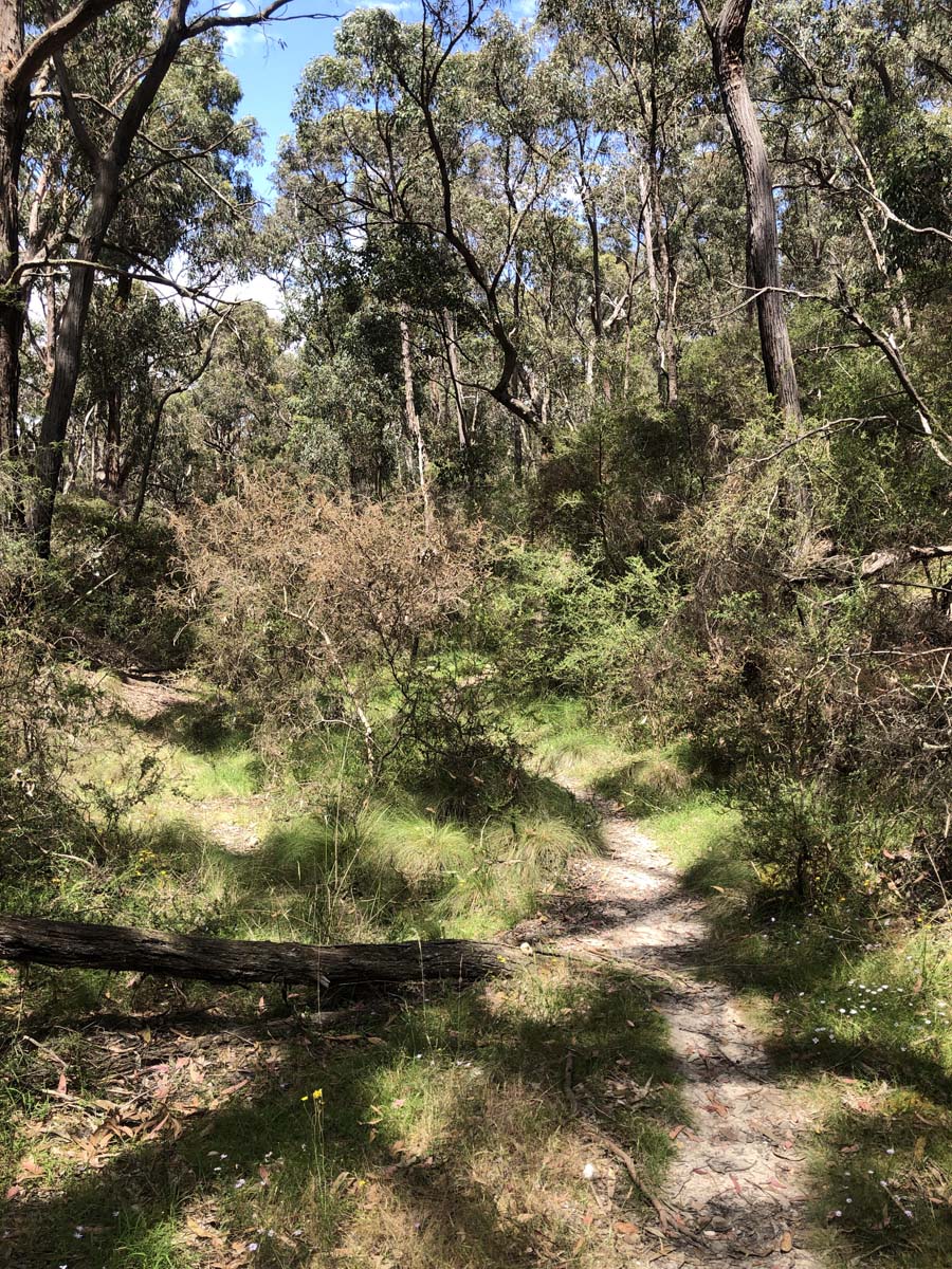 Djerriwarrh creek circuit hike 3