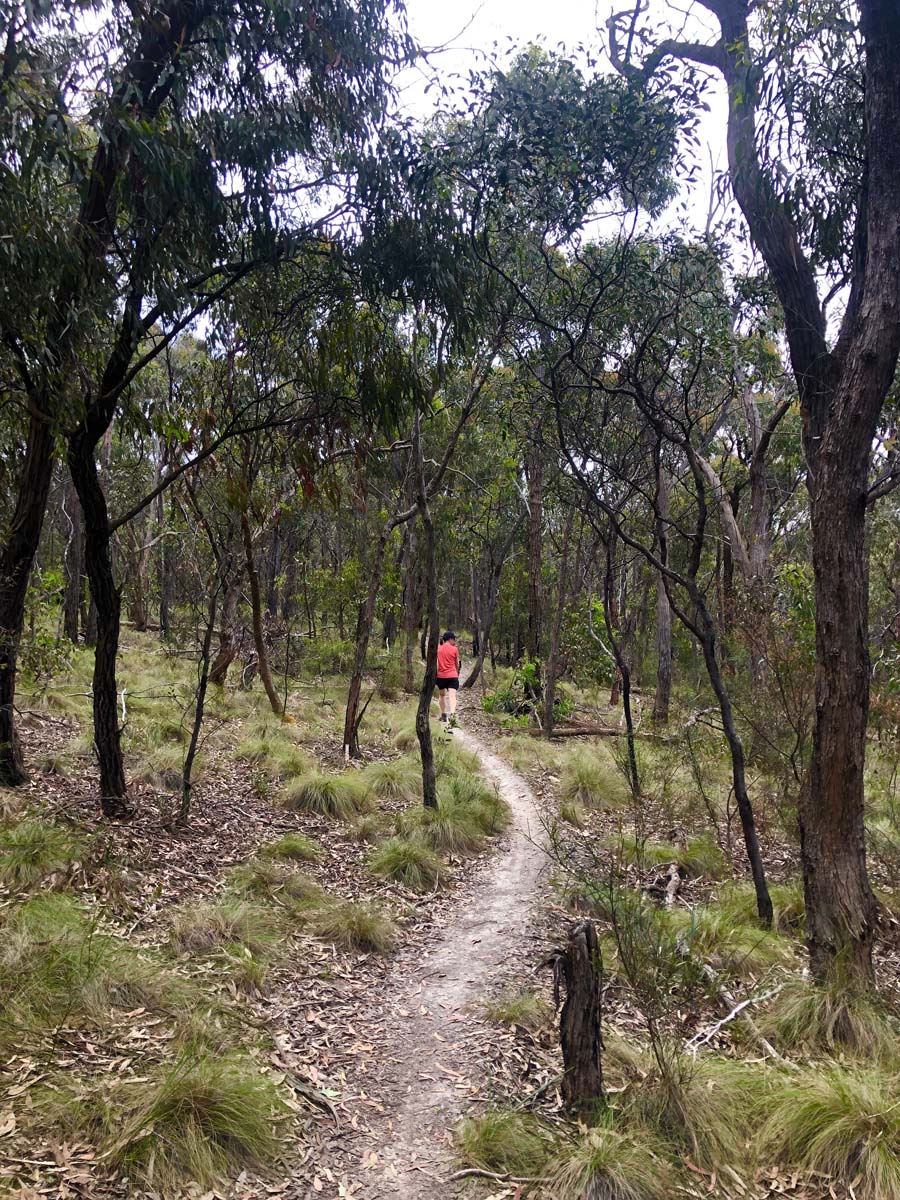 Djerriwarrh creek circuit hike 4