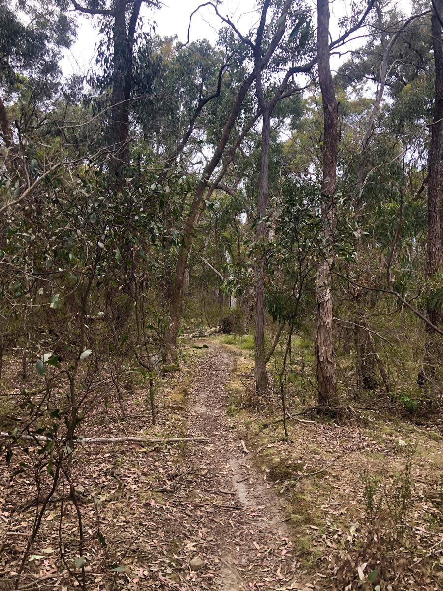 Djerriwarrh creek circuit hike 8