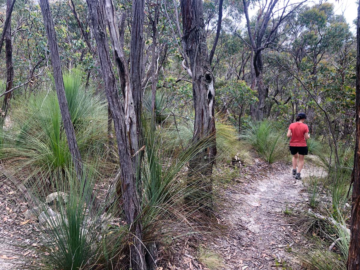 Djerriwarrh creek circuit hike 9