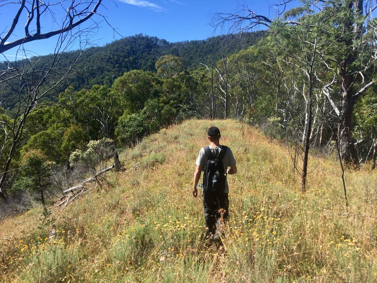 Eagle peaks & eight mile gap hike 10