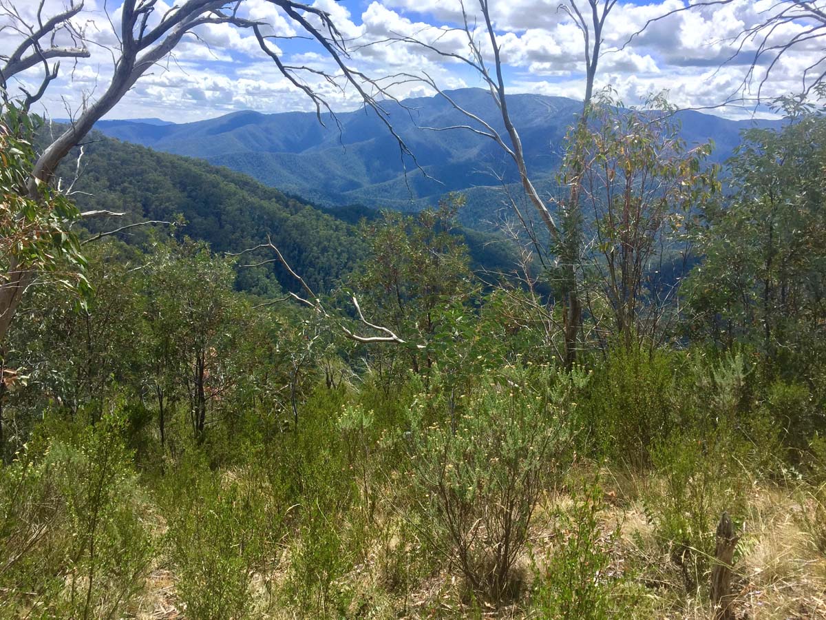 Eagle peaks & eight mile gap hike 20