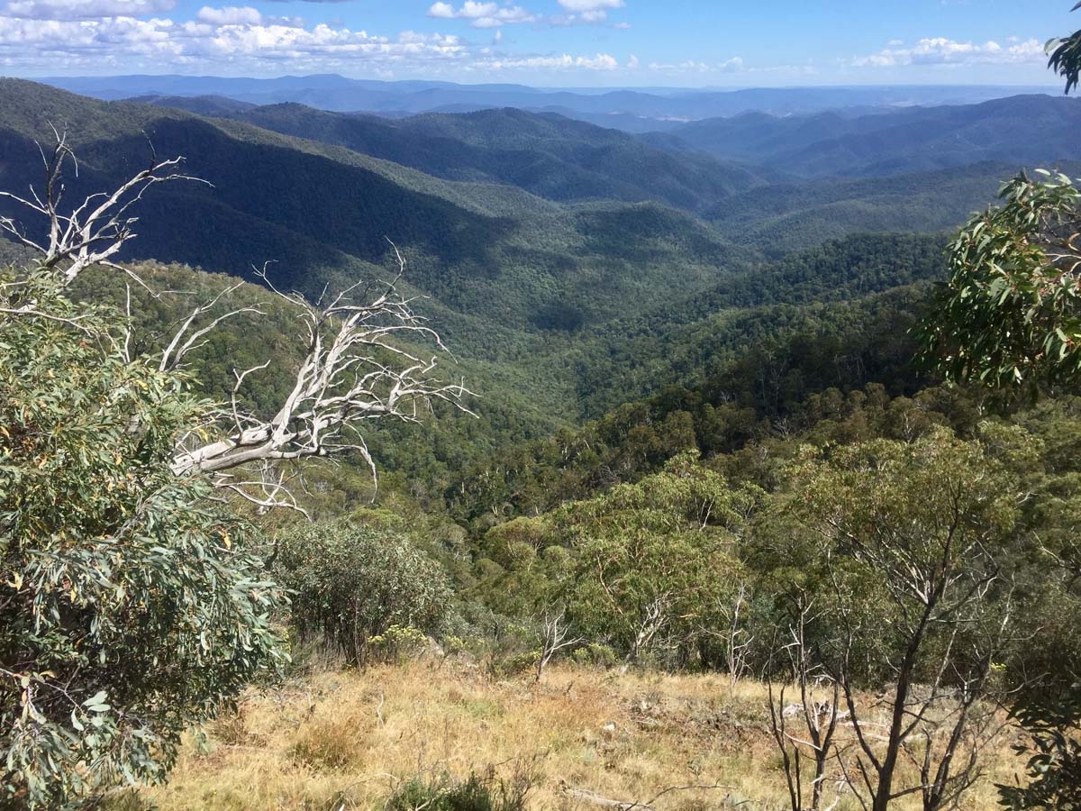 Eagle peaks & eight mile gap hike 25