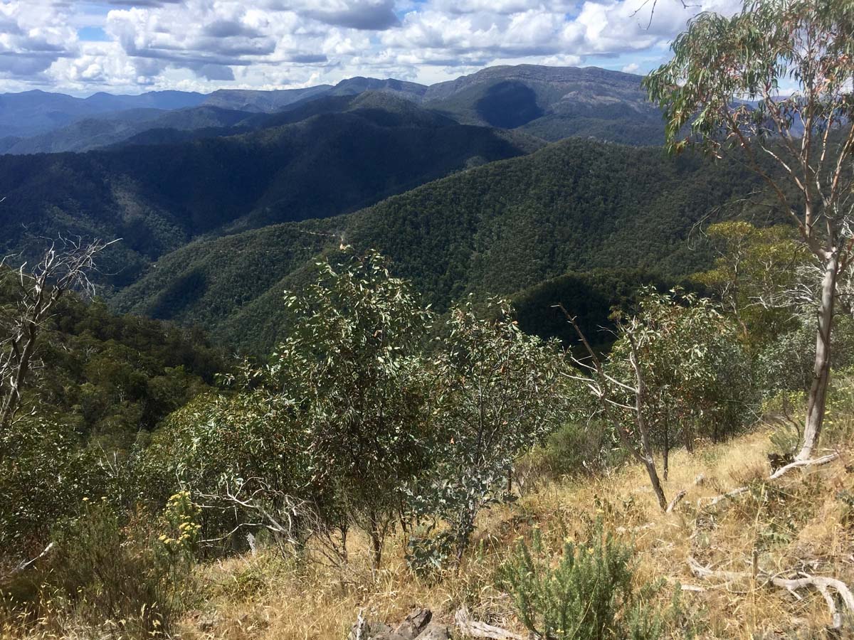 Eagle peaks & eight mile gap hike 27