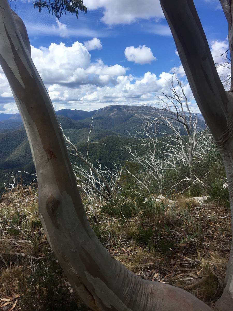 Eagle peaks & eight mile gap hike 30