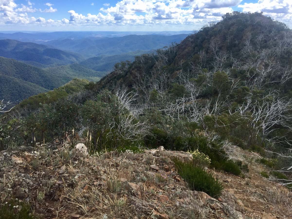 Eagle peaks & eight mile gap hike 37
