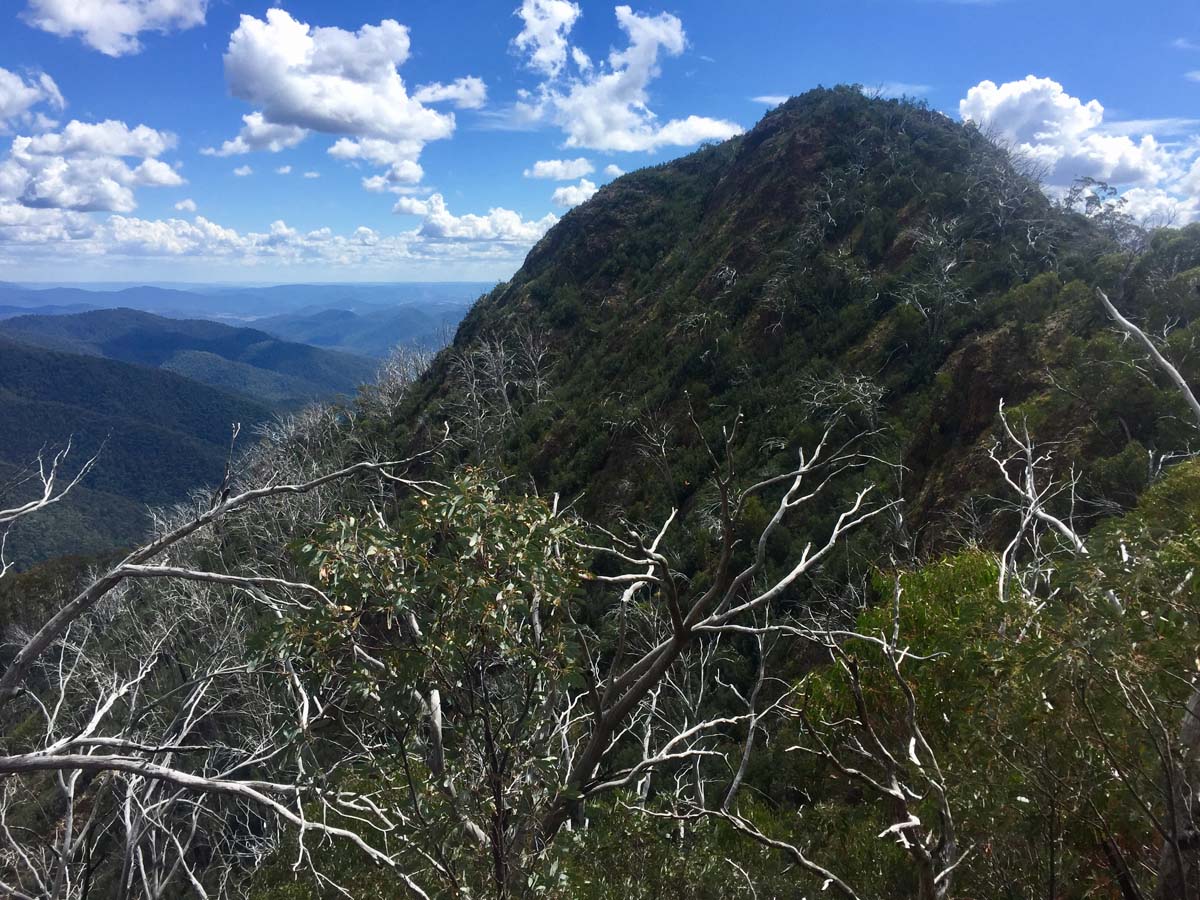 Eagle peaks & eight mile gap hike 39