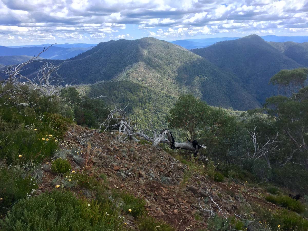 Eagle peaks & eight mile gap hike 42