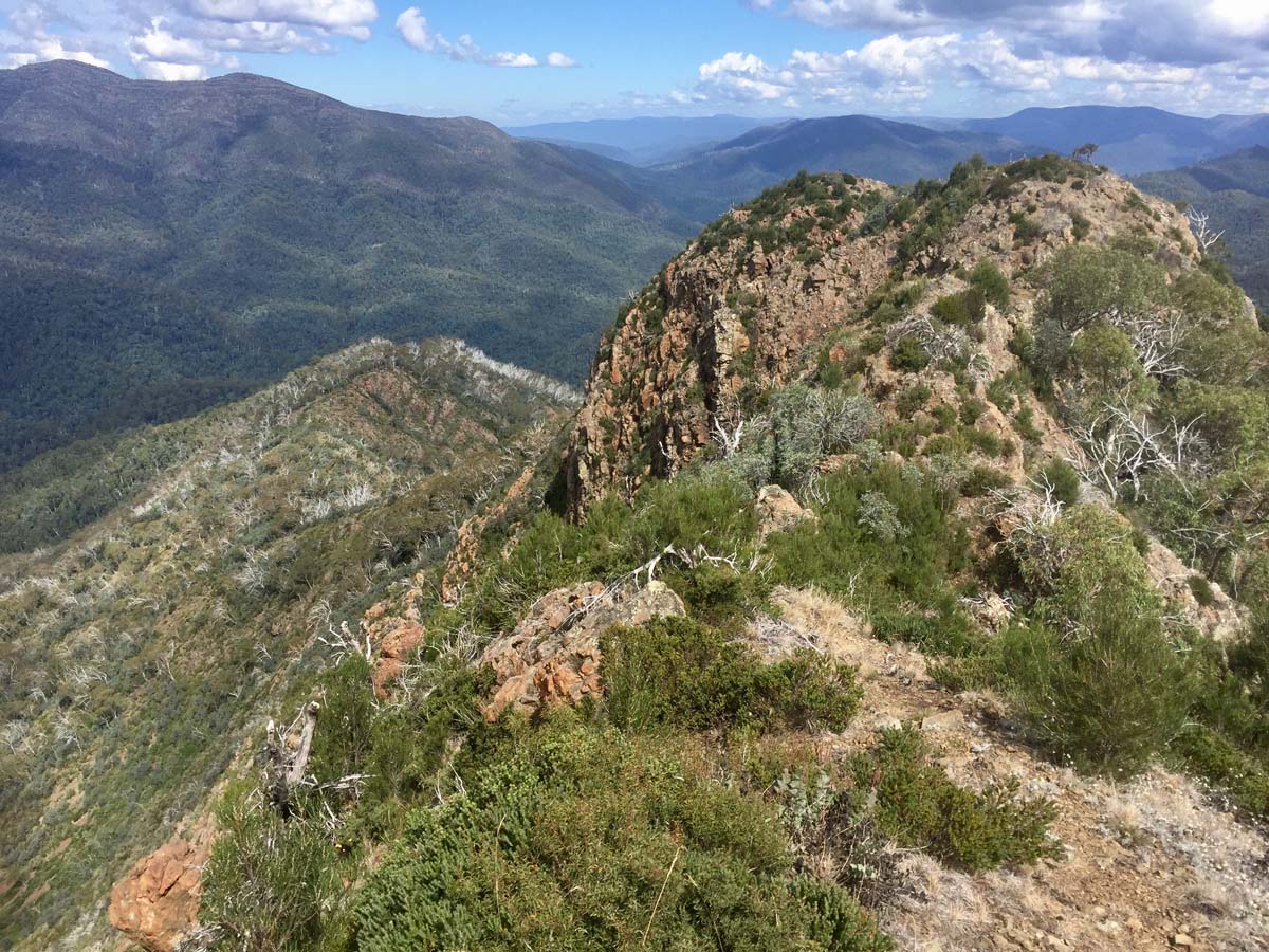 Eagle peaks & eight mile gap hike 44