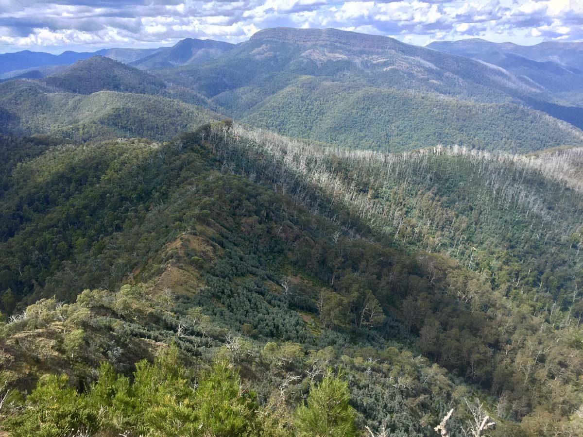 Eagle peaks & eight mile gap hike 45