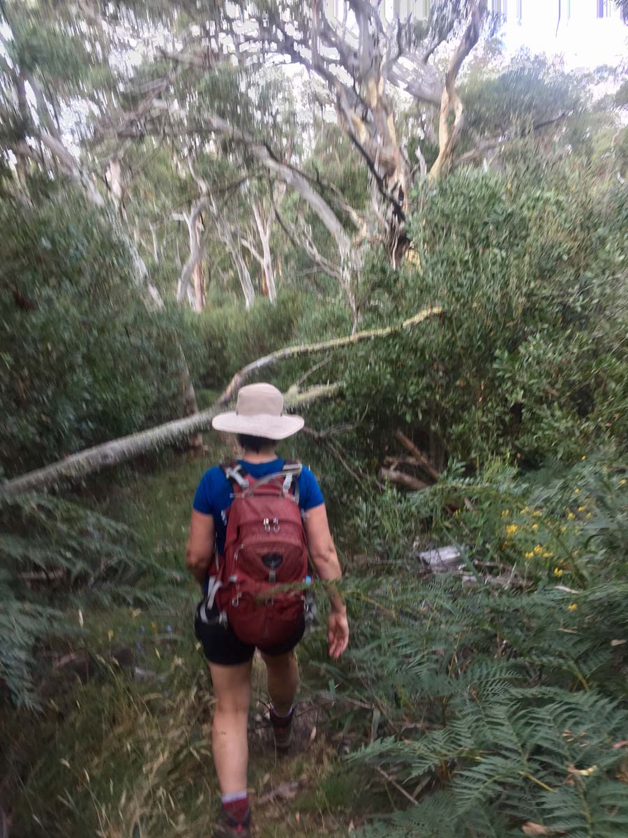 Eagle peaks & eight mile gap hike 52