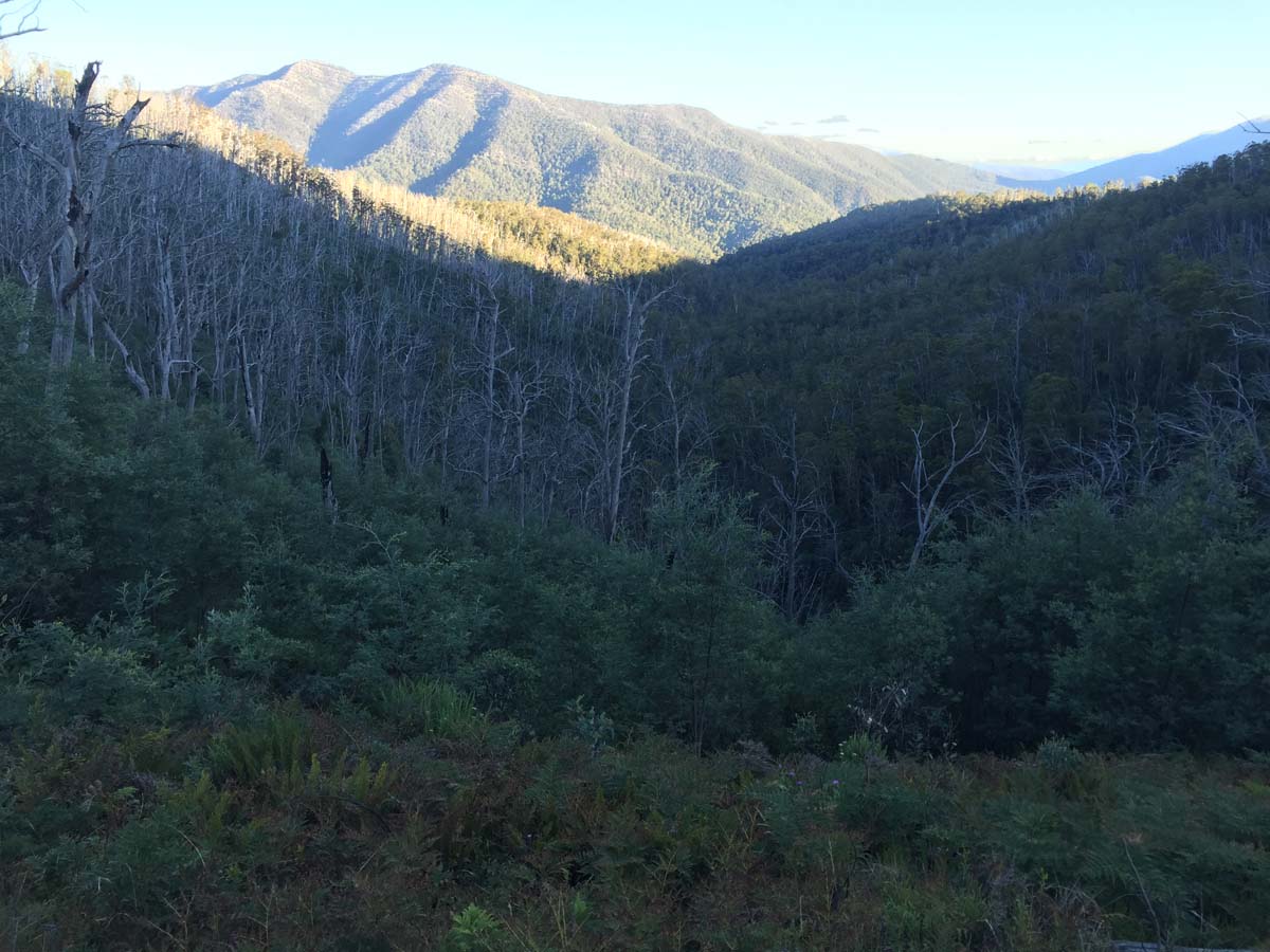 Eagle peaks circuit hike 10