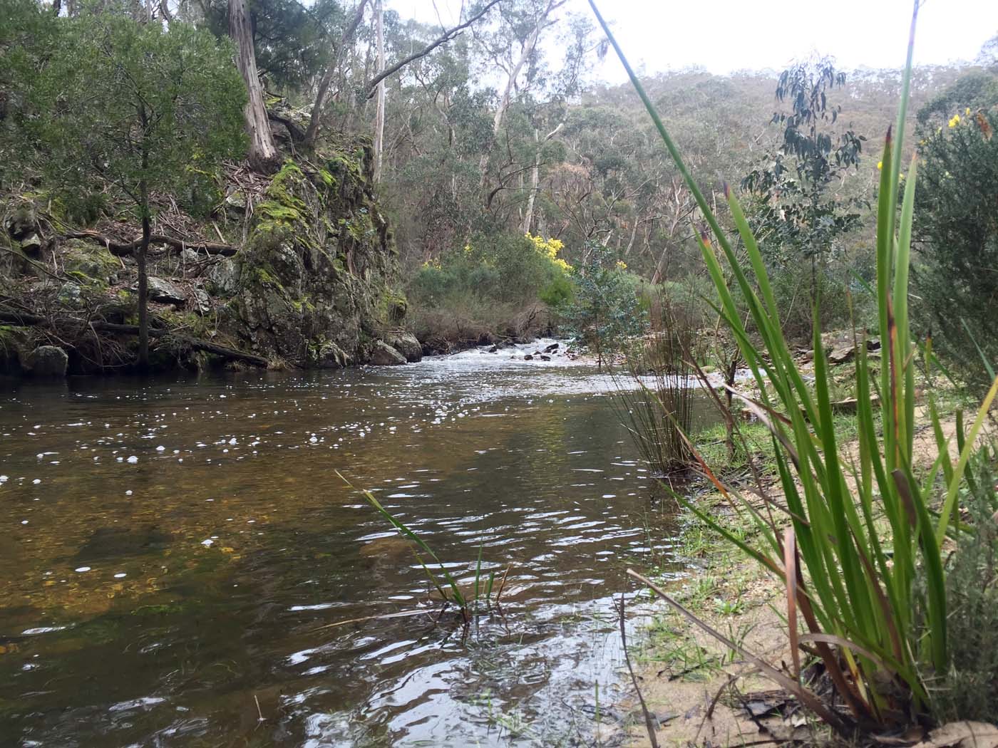 20160828 010616640 ios