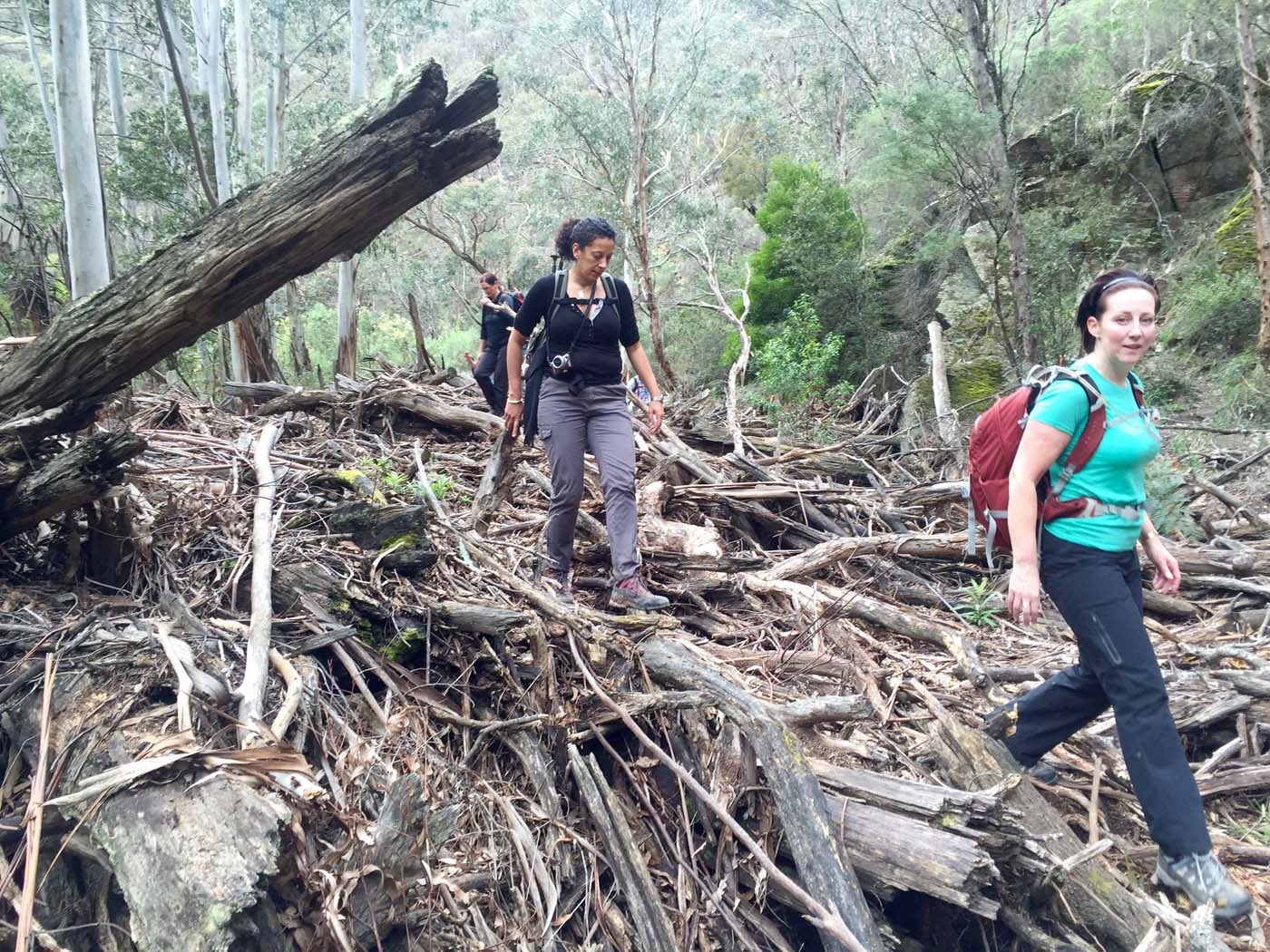 20160828 013257884 ios