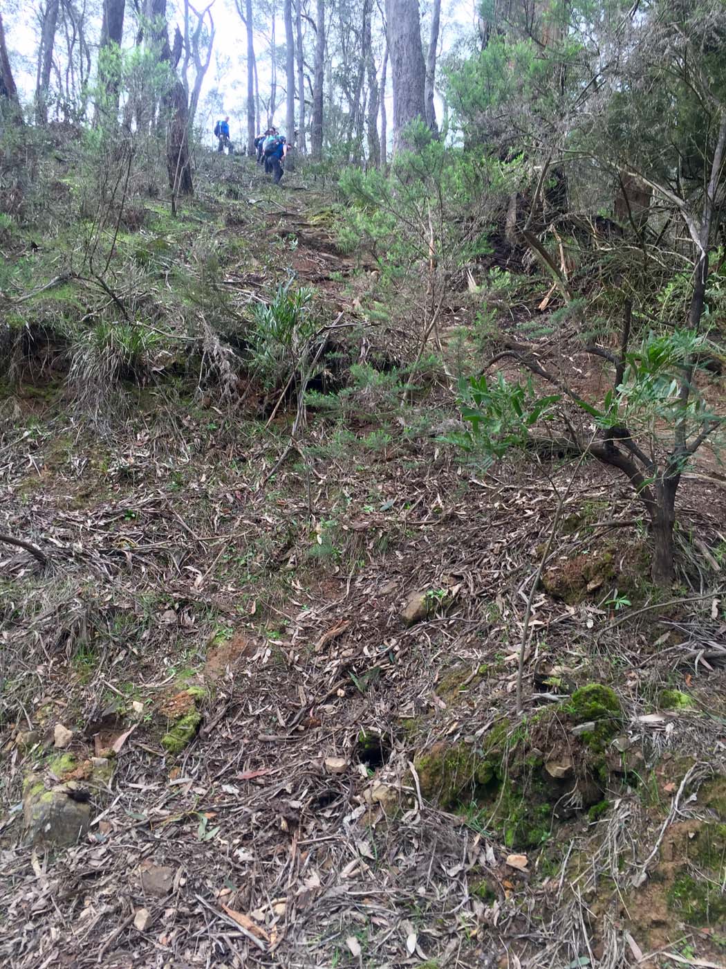 20160828 041657057 ios