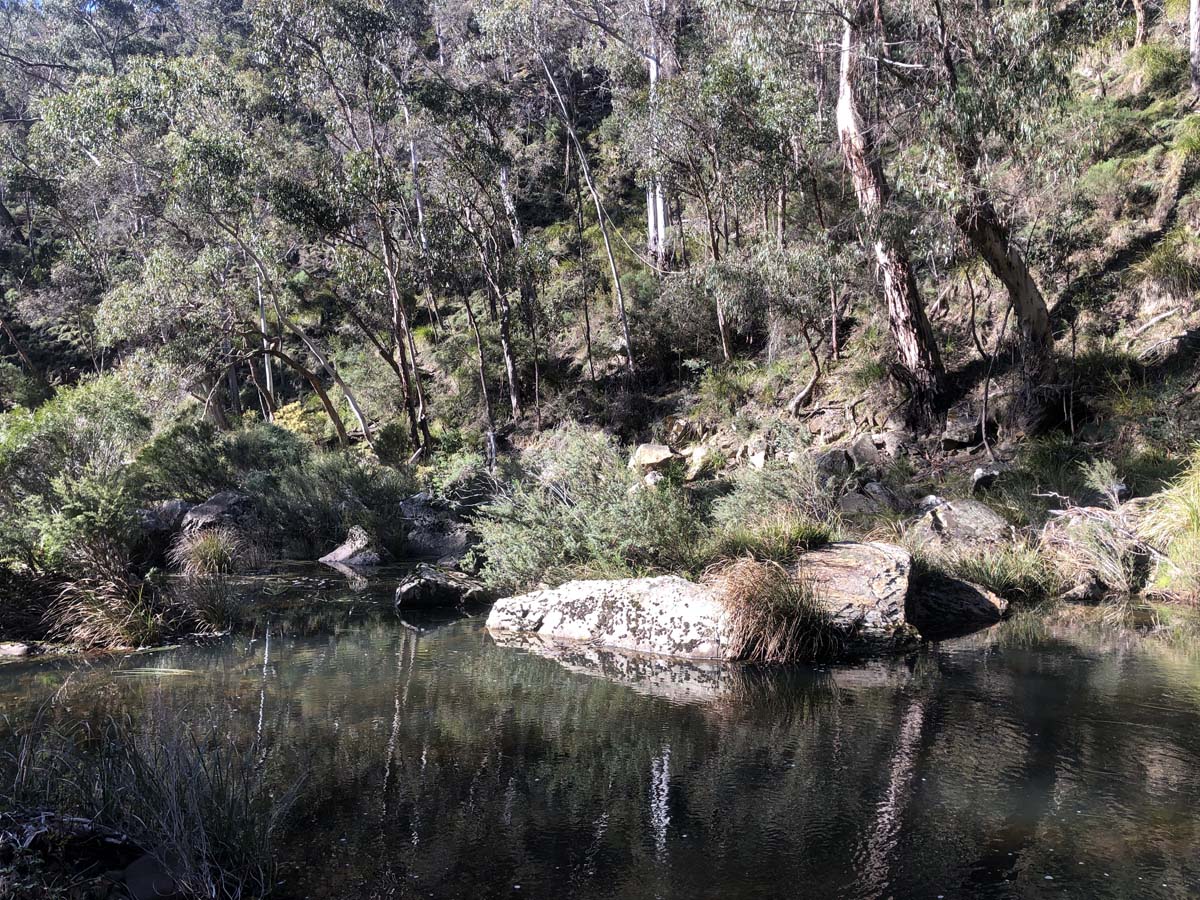 East walk & spanish onion circuit hike 1