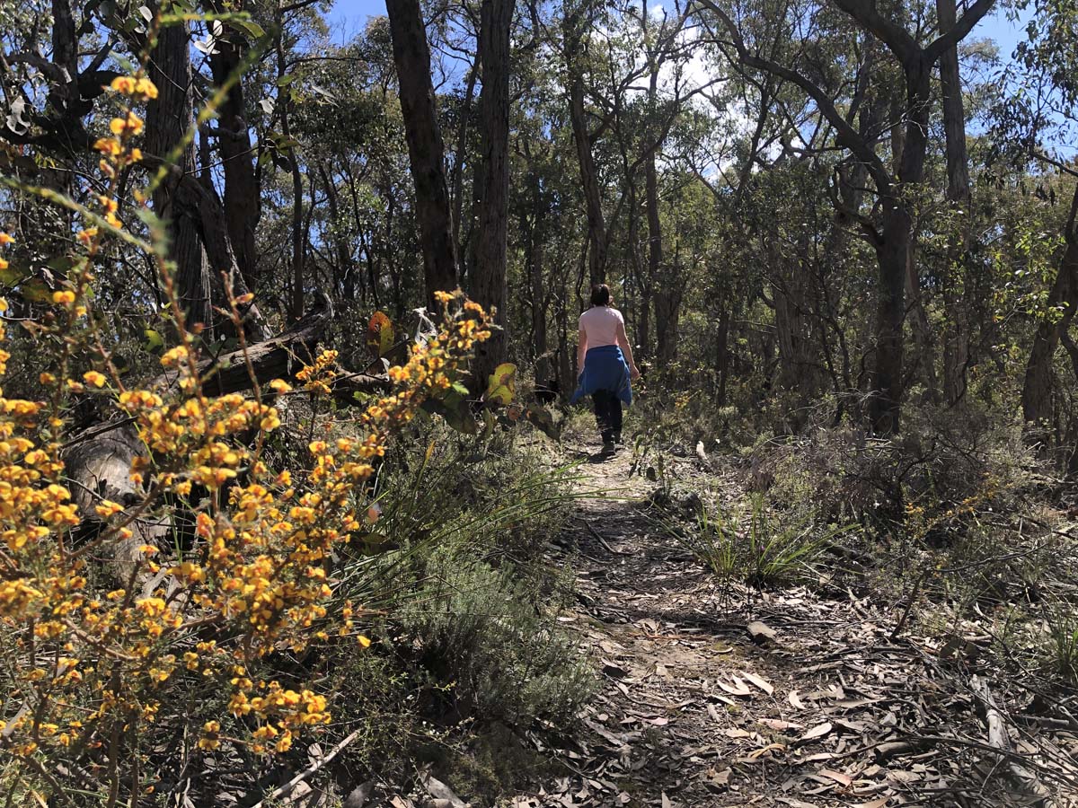 East walk & spanish onion circuit hike 11