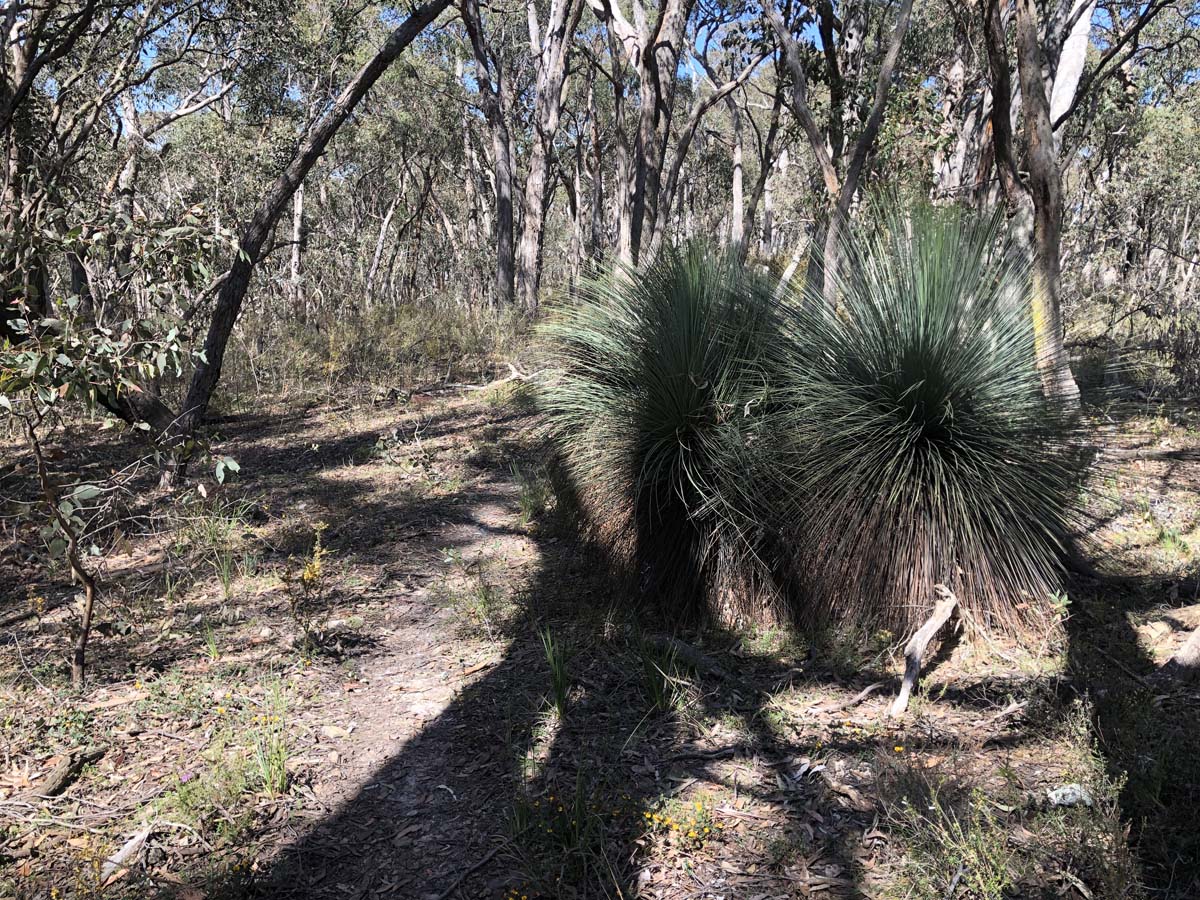 East walk & spanish onion circuit hike 13