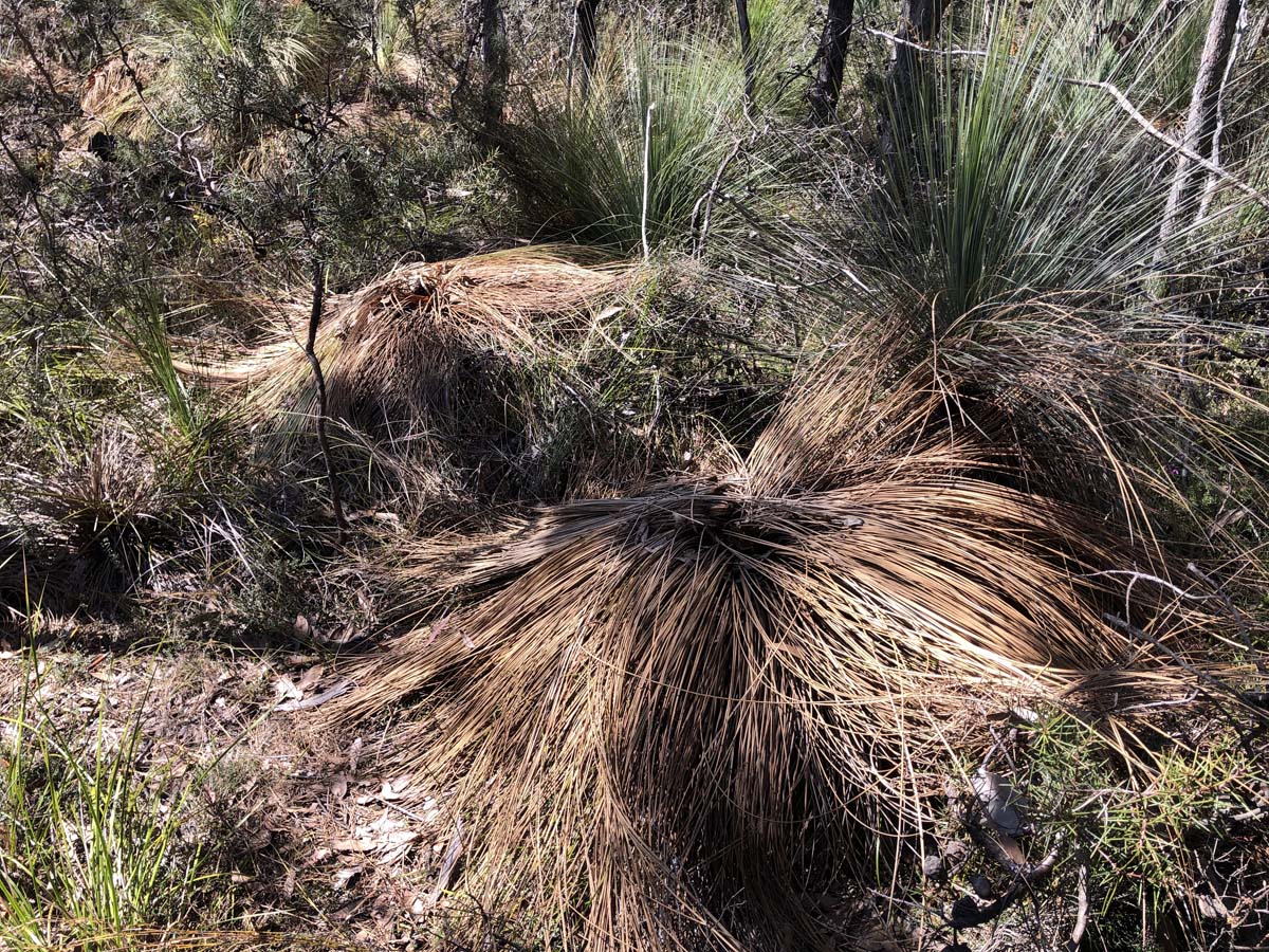 East walk & spanish onion circuit hike 16